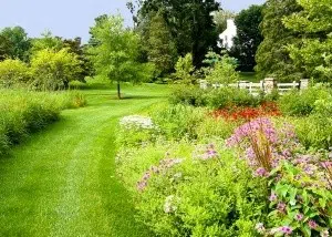 natural grass walkway surrounded by blooming flowers